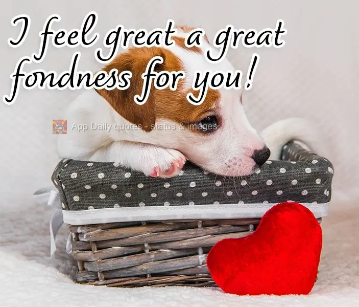 I feel a great fondness for you!