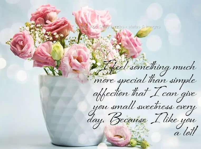 I feel a more than special desire to please you with little gifts every day. Because I like you a lot!