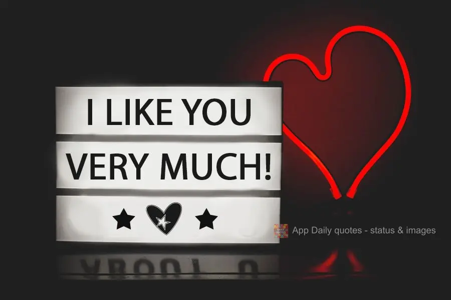 I like you very much!