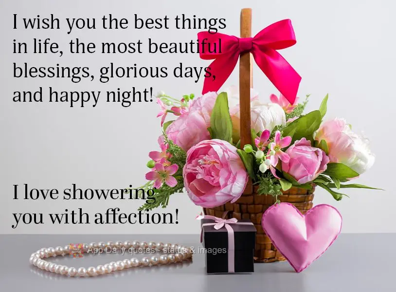I wish you the best things in life, the most beautiful blessings, glorious days, and happy night! I love showering you with affection!