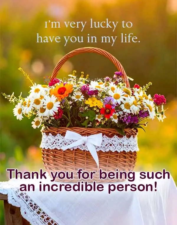 I'm very lucky to have you in my life. Thank you for being such an incredible person!