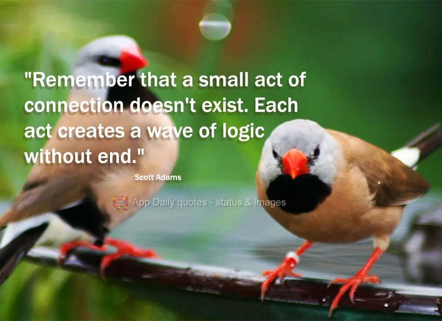 "Remember that a small act of connection doesn't exist. Each act creates a wave of logic without end." Scott Adams