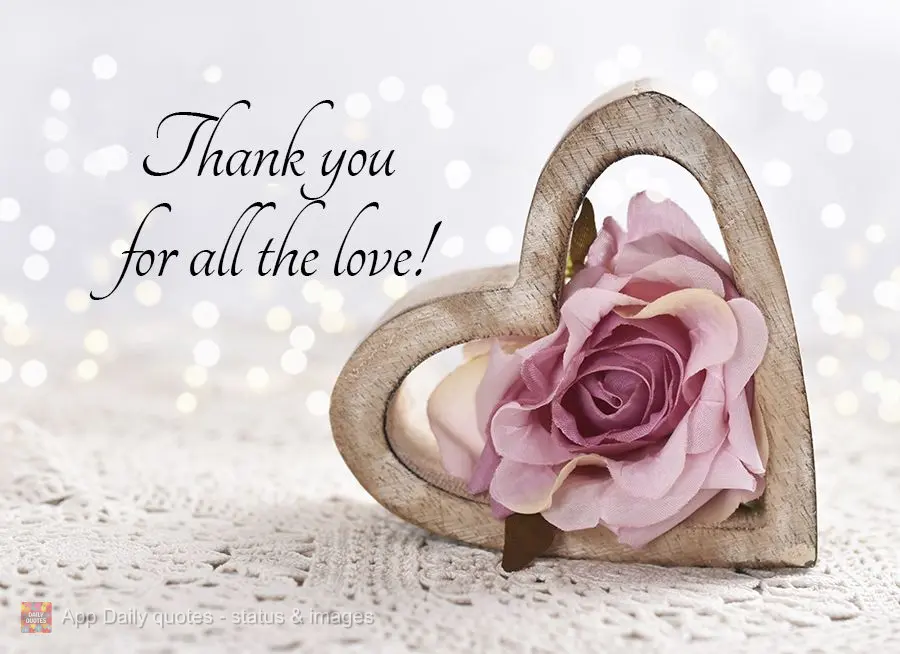 Thank you for all the love!