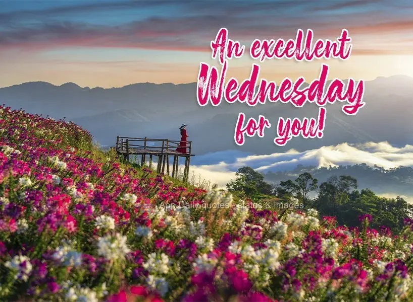 An excellent Wednesday for you! 
