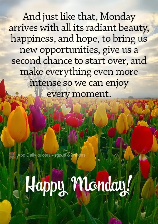 And just like that, Monday arrives with all its radiant beauty, happiness, and hope, to bring us new opportunities, give us a second chance to start over...
