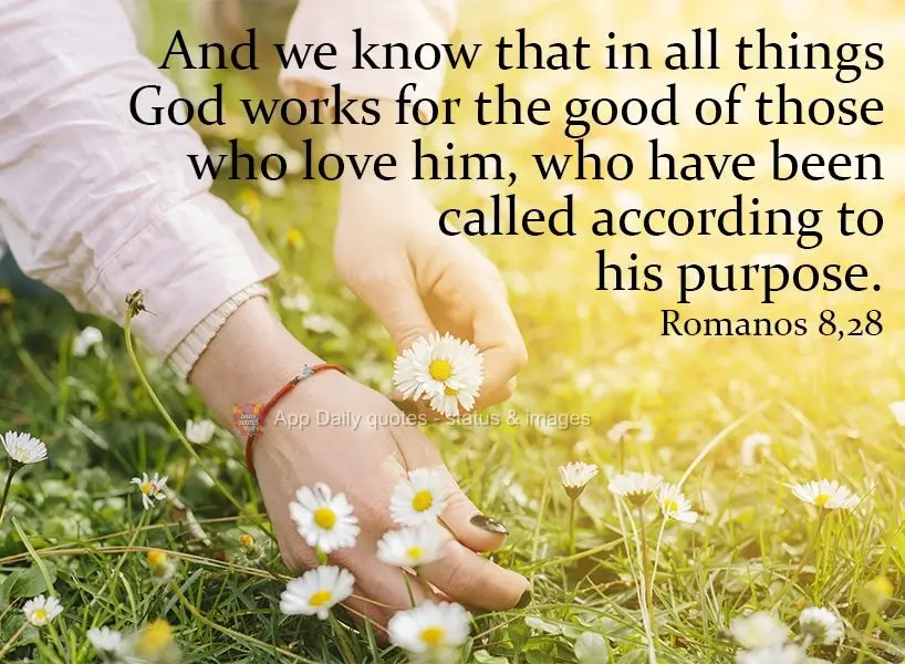And we know that in all things God works for the good of those who love him, who have been called according to his purpose.  Romanos 8,28