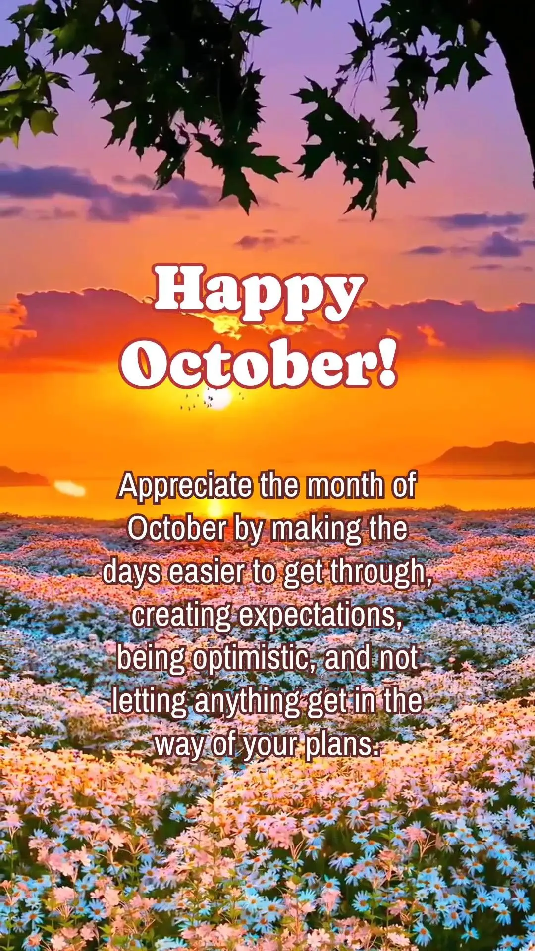Appreciate the month of October by making the days easier to get through, creating expectations, being optimistic, and not letting anything get in the wa...