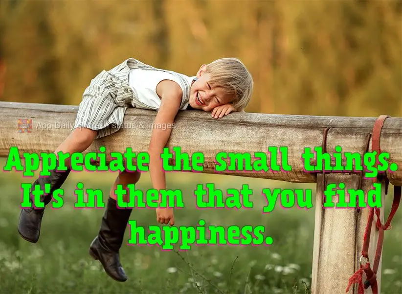 Appreciate the small things. It's in them that you find happiness.