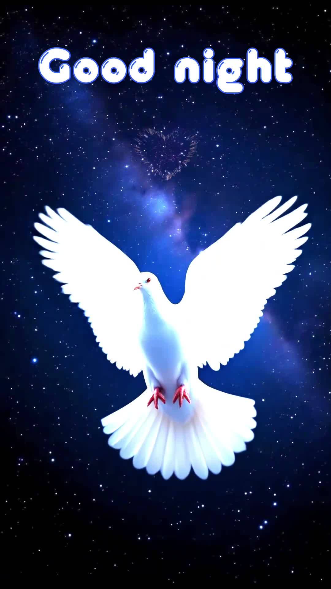 Assim como o Bom Pastor deixa as noventa e nove ovelhas para buscar aquela que se perdeu, Deus nunca desiste de você, mesmo nos momentos mais escuros. E...