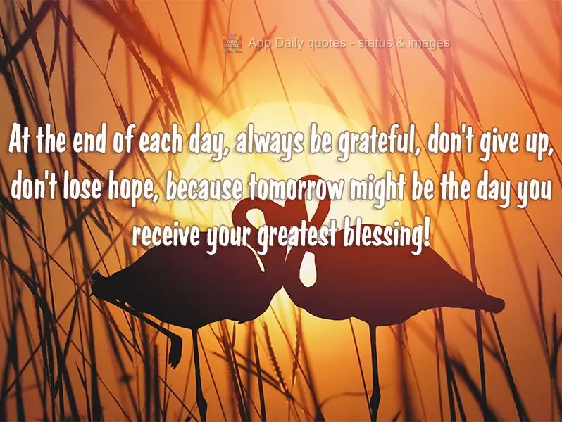 At the end of each day, always be grateful, don't give up and don't lose hope, because tomorrow might be the day you receive your greatest blessing!