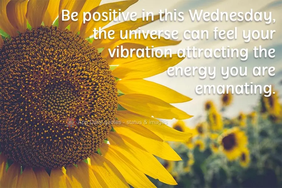 Be positive on this Wednesday. The universe can feel your vibration attracting the energy you are emanating.