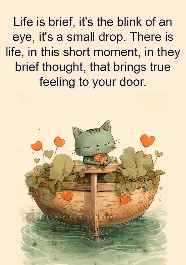 Life is brief, it's the blink of an eye, it's a small drop. There is life, in this short moment, in they brief thought, that brings true feeling to your ...