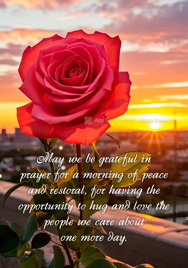 May we be grateful in prayer for a morning of peace and restoral, for having the opportunity to hug and love the people we care about one more day.