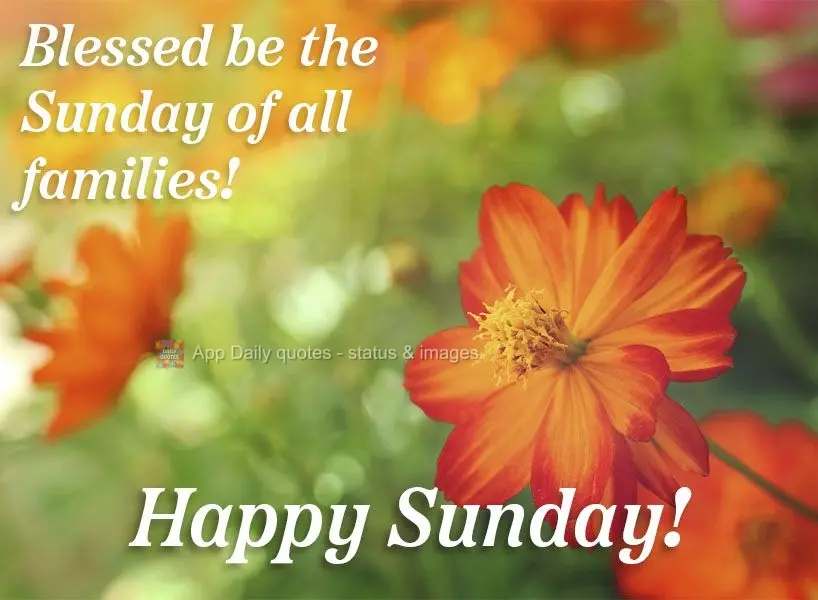 Blessed be this Sunday for all families! Happy Sunday!