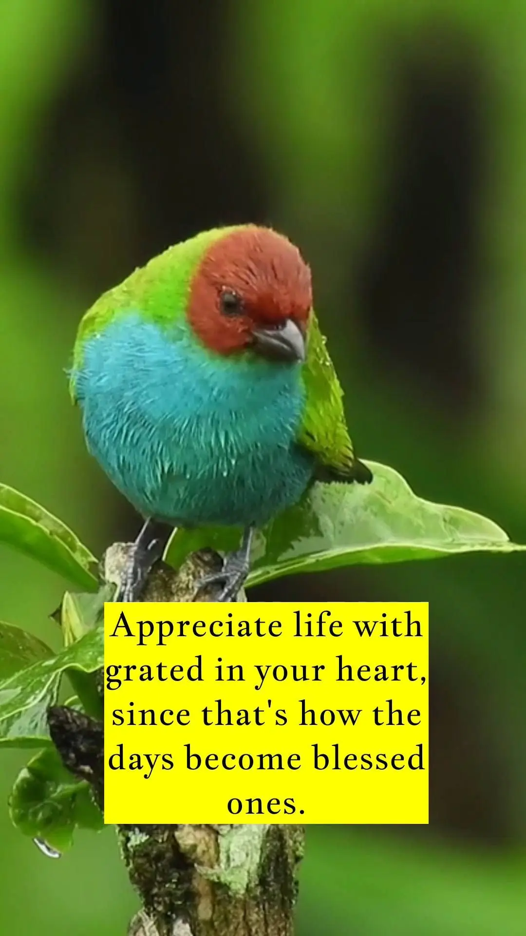Appreciate life with grated in your heart, since that's how the days become blessed ones.