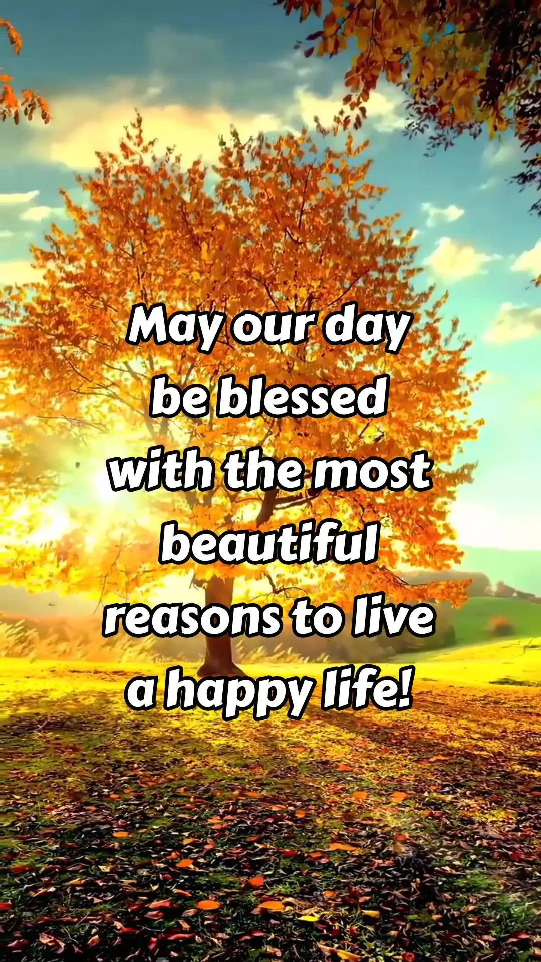 May our day be blessed with the most beautiful reasons to live a happy life!
