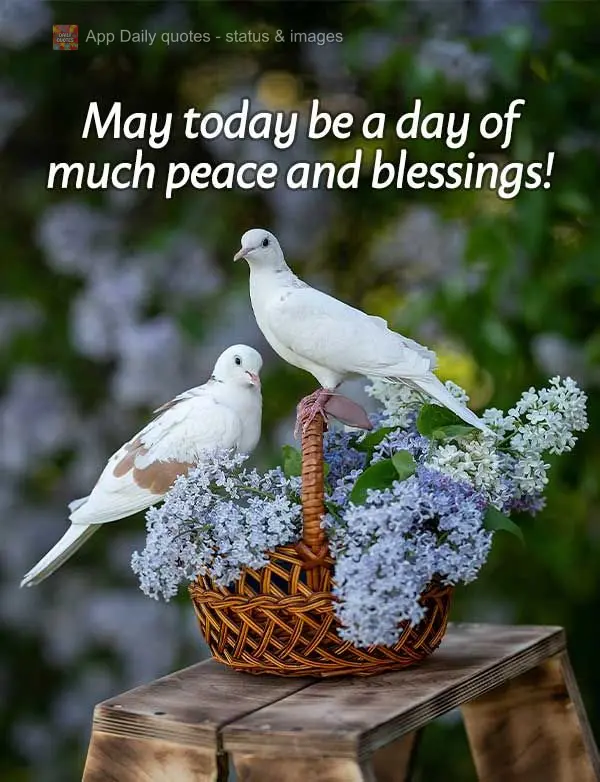 May today be a day of much peace and blessings!