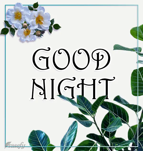 BOA NOITE