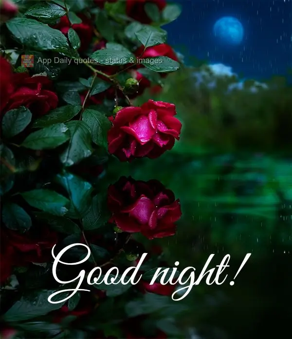 Boa noite!