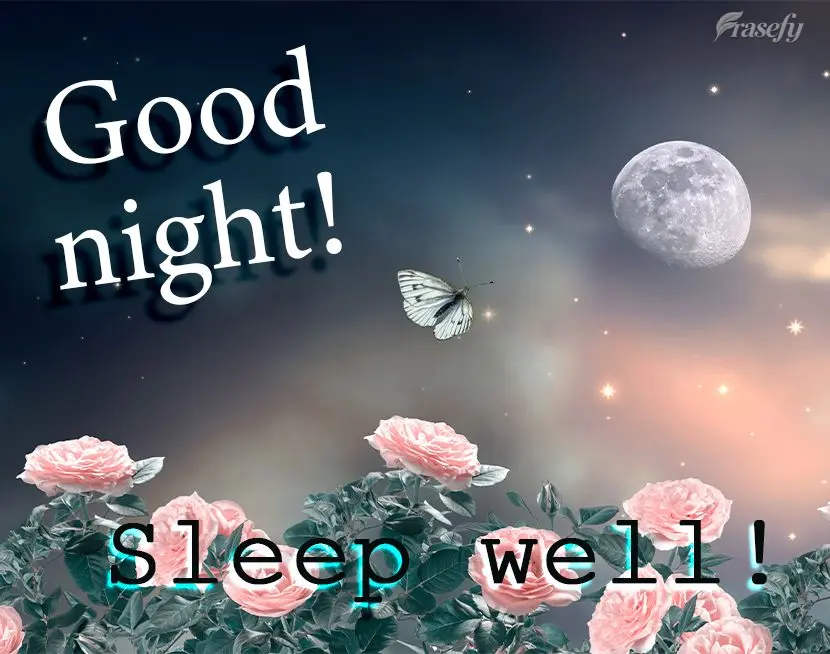 Boa noite! Durma bem!