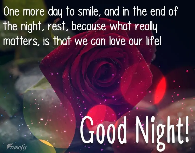 Mais um dia para sorrir e no final da noite descansar, porque o que importa mesmo, é que a vida a gente possa amar!  Boa Noite!