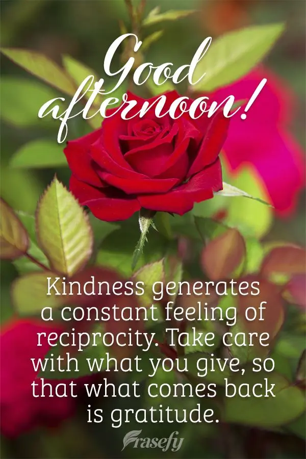 A gentileza gera um constante sentimento de reciprocidade. Cuide com o que você oferece para que retorne em forma de agradecimento. Boa tarde!