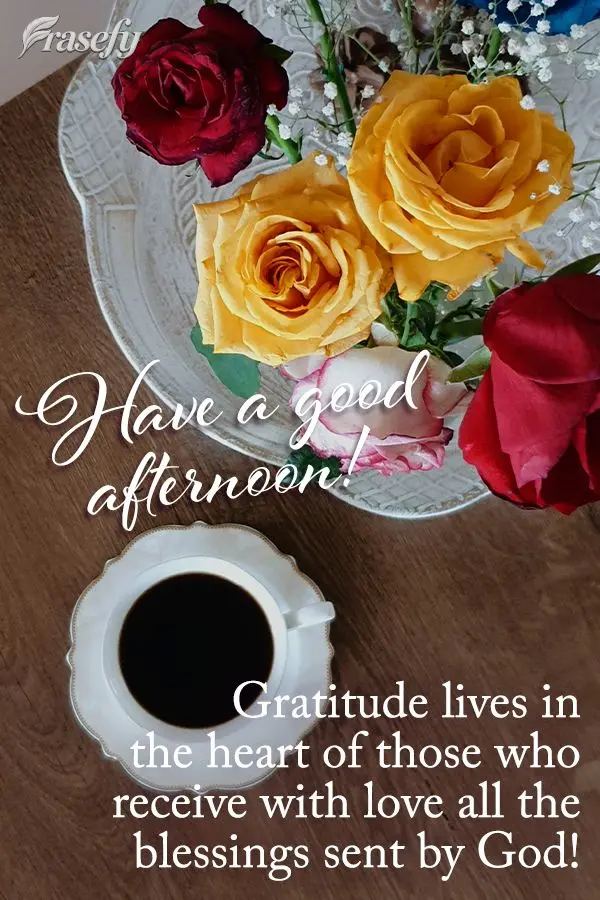A gratidão mora no coração de quem recebe com amor todas as bênçãos enviadas por Deus! Feliz tarde!