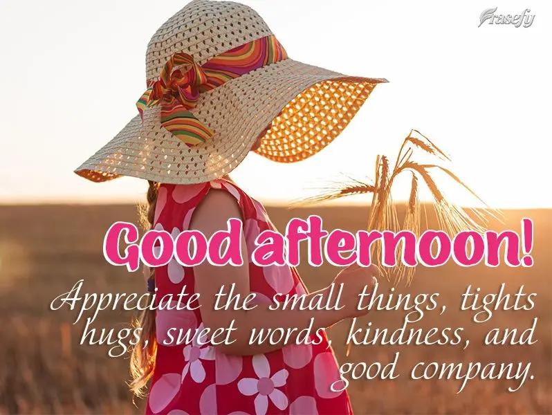 Aprecie as pequenas coisas, abraços apertados, palavras doces, gentileza e boas companhias. Boa tarde!