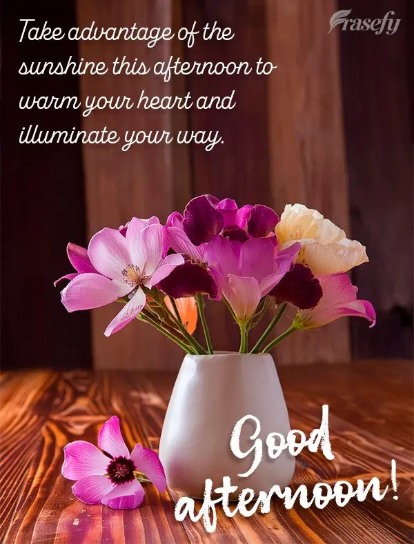 Aproveite o sol que brilha nesta tarde para aquecer seu coração e iluminar seus caminhos. Boa tarde!