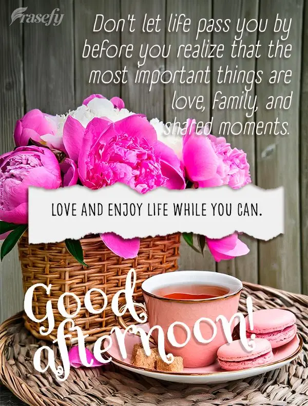 Não espere a vida passar para perceber que o mais importante é o amor, a família e os momentos compartilhados. Ame e aproveite a vida enquanto pode. B...