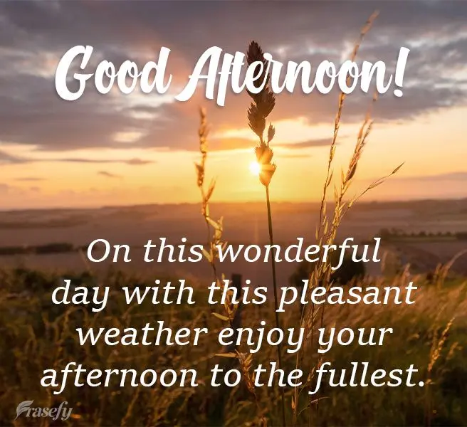 Nesse dia maravilhoso com esse clima agradável aproveite a sua tarde ao máximo. 
 Boa Tarde!
