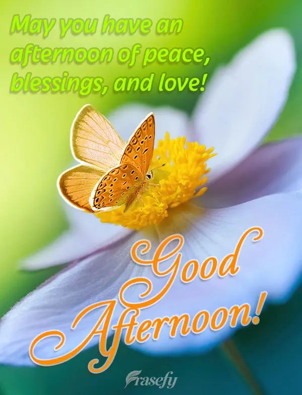Que seja uma tarde de paz, bênçãos e muito amor! Boa tarde!