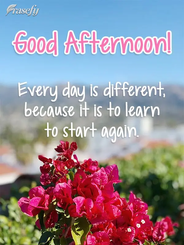 Todos os dias são diferentes, porque são para aprender a recomeçar.  Boa Tarde!