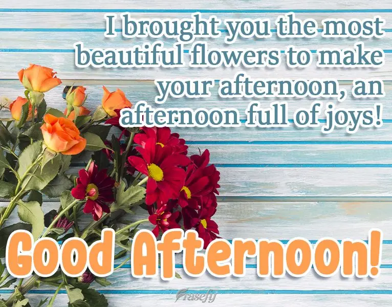 Trouxe para você as flores mais belas para fazer da sua tarde, uma tarde cheia de alegrias!  Boa tarde!