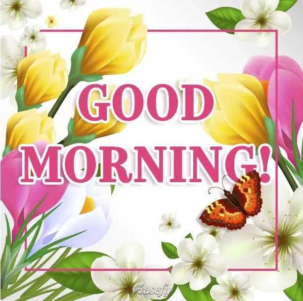 Bom dia!