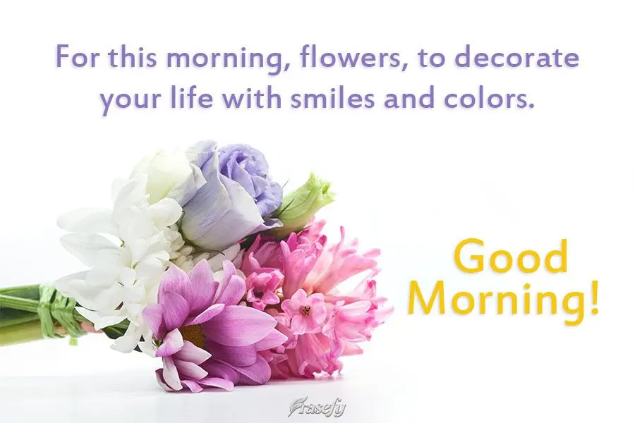 Para esta manhã, flores, para enfeitar sua vida com sorrisos e cores. 
 Bom dia!