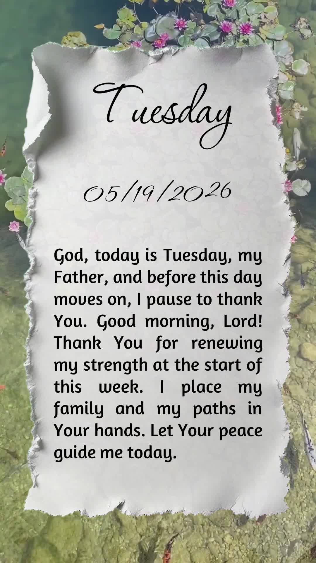 Deus, hoje é terça-feira, meu Pai, e antes que o dia avance eu paro para Te agradecer. Bom dia, Senhor! Obrigado por renovar minhas forças no início ...