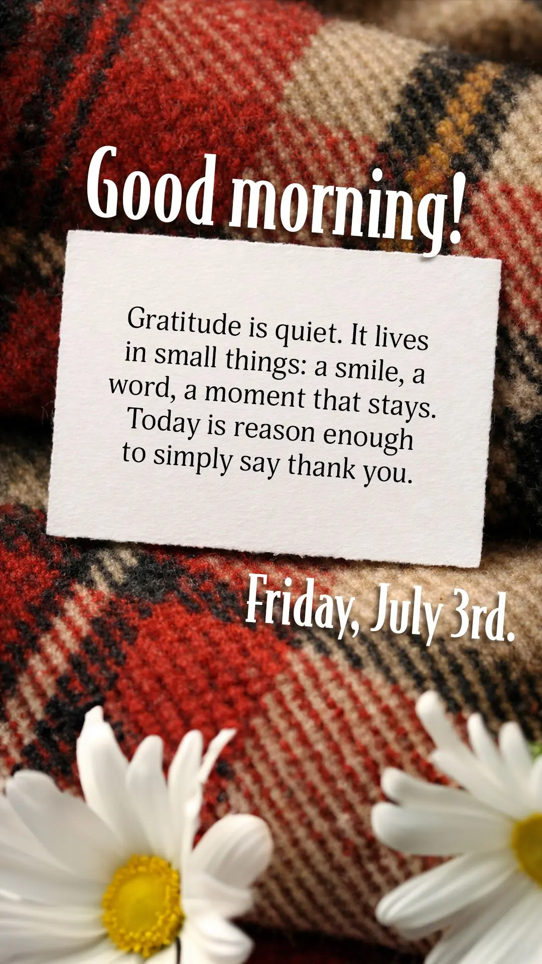 Gratitude is quiet. It lives in small things: a smile, a word, a moment that stays. Today is reason enough to simply say thank you.