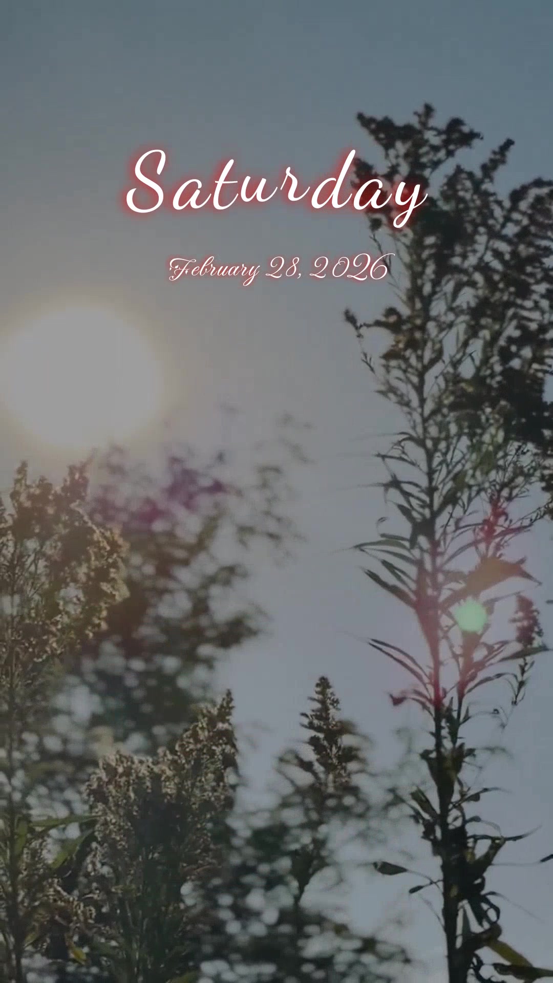 You need to hear this today... On this last Saturday of February, as the month quietly fades away, take a moment to look around you. Someone near you may...