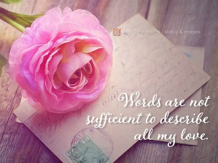 Words are not sufficient to demonstrate my love.