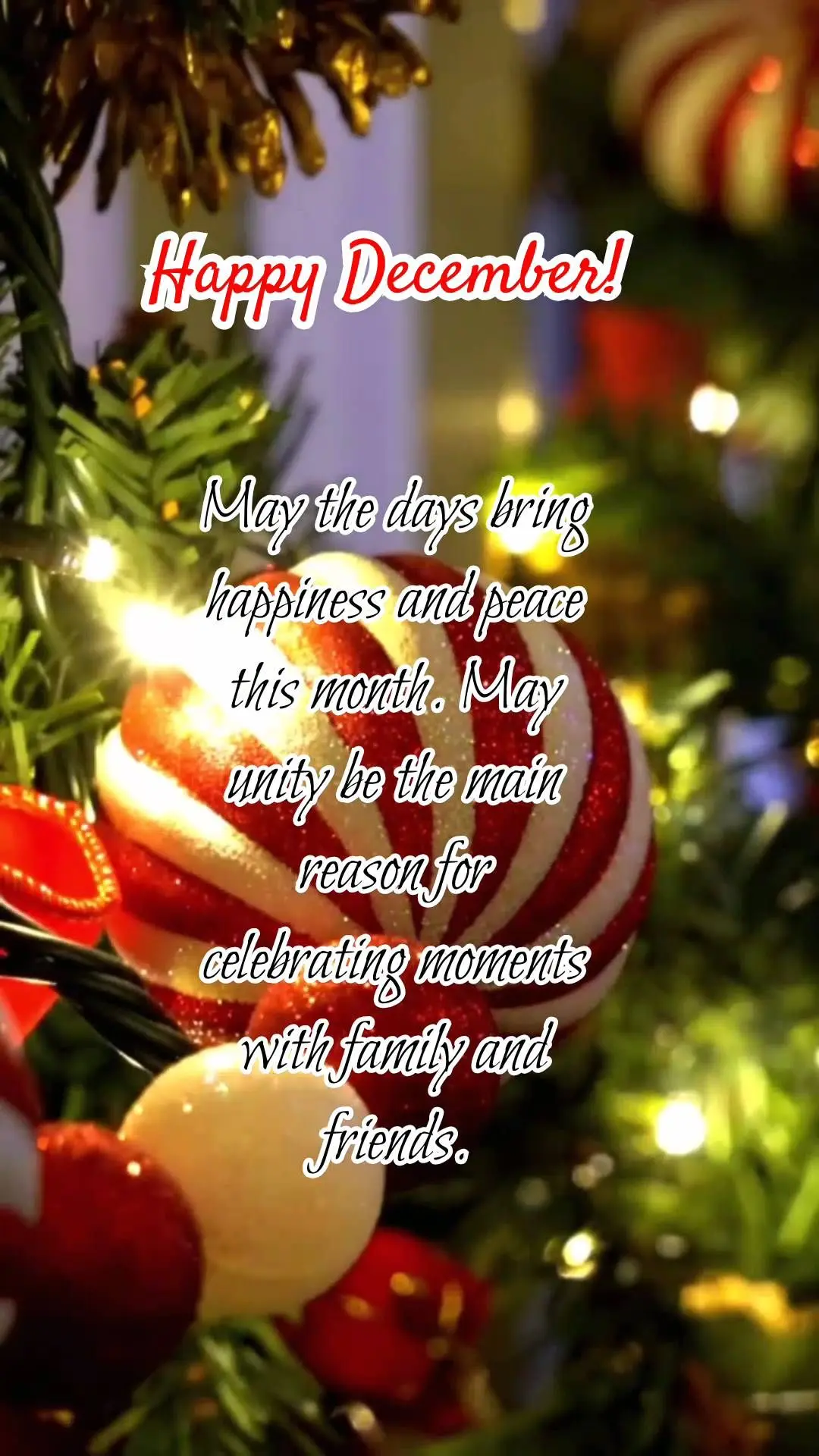 May the days bring happiness and peace this month. May unity be the main reason for celebrating moments with family and friends. Happy December!