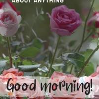 Do not be anxious about anything, but in everything, 
by prayer and petition, with thanksgiving, 
present your requests to God.
Philippians 4.6
good ...