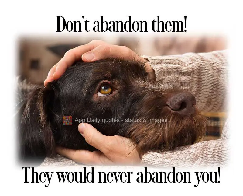 Don't abandon them! They would never abandon you!