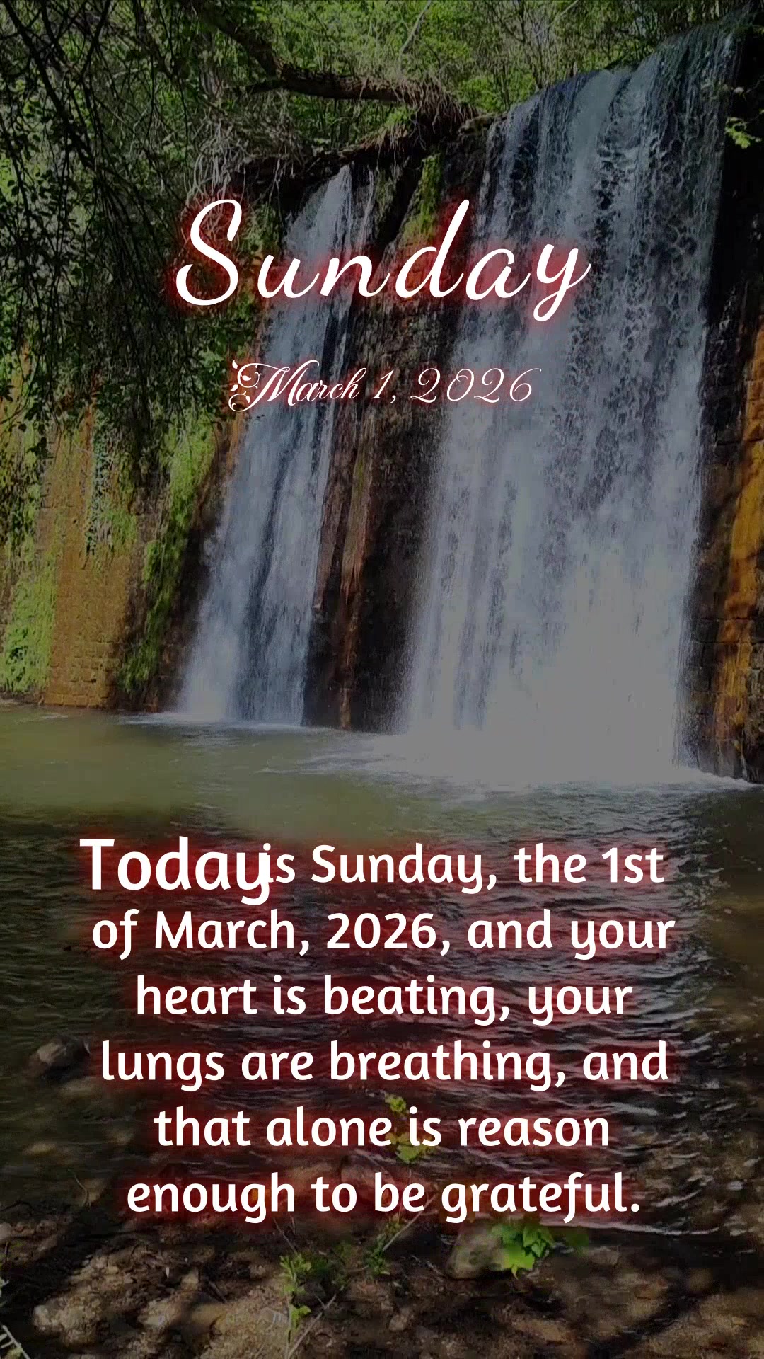 Don't ignore this message... Today is Sunday, March 1, 2026, and your heart is beating, your lungs are breathing, and that alone is reason enough to be g...