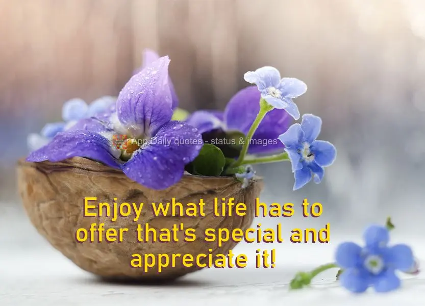 Enjoy the special things that life has to offer and appreciate them!