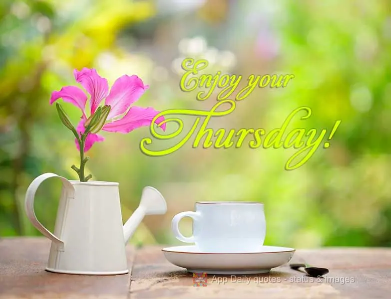 Enjoy your Thursday!