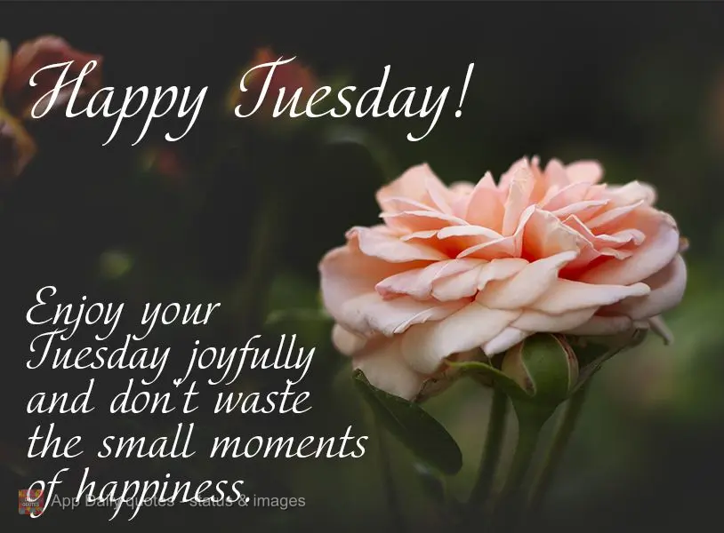 Enjoy your Tuesday joyfully and don't waste the simple moments of happiness. Happy Tuesday!