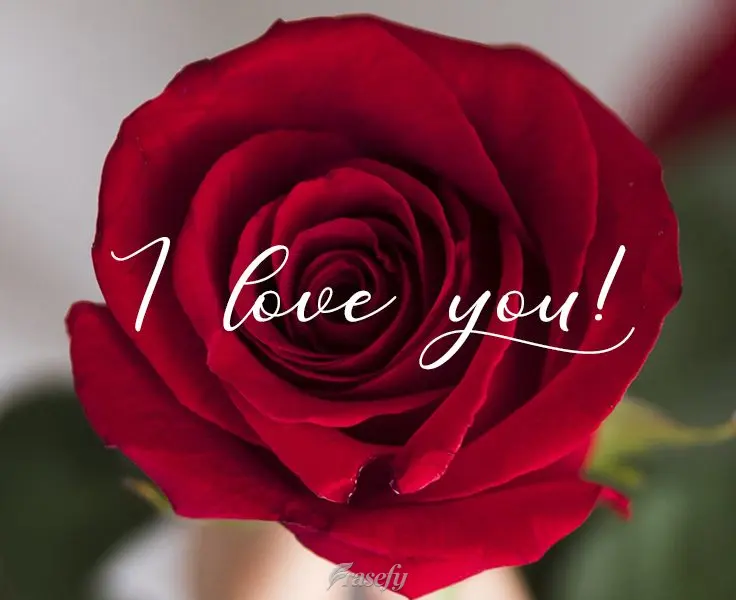 Eu te amo!
