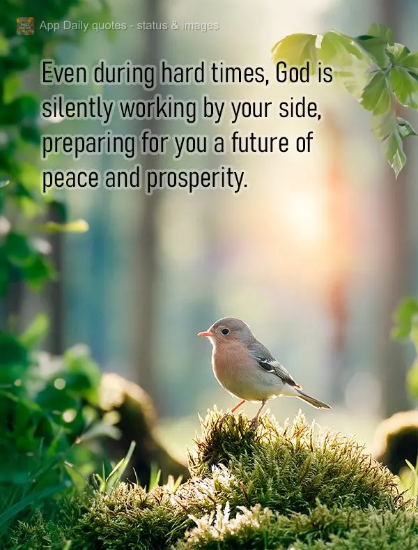 Even during hard times, God is silently working by your side, preparing for you a future of peace and prosperity.