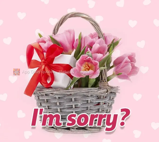 I'm sorry!